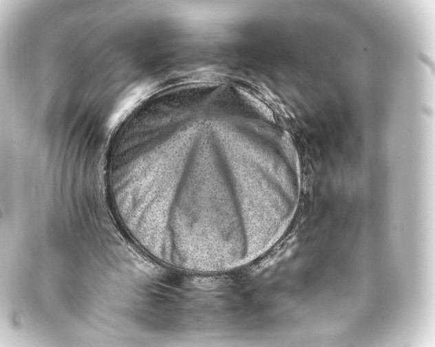 X0000093430341200711021039