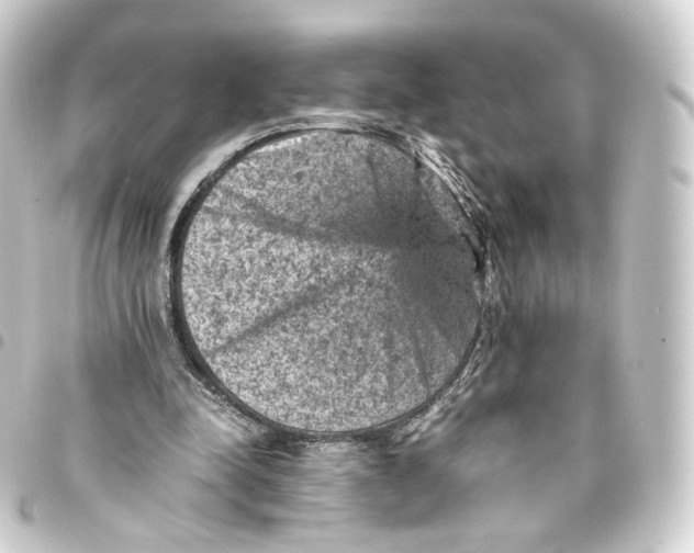 X0000093430342200711021039