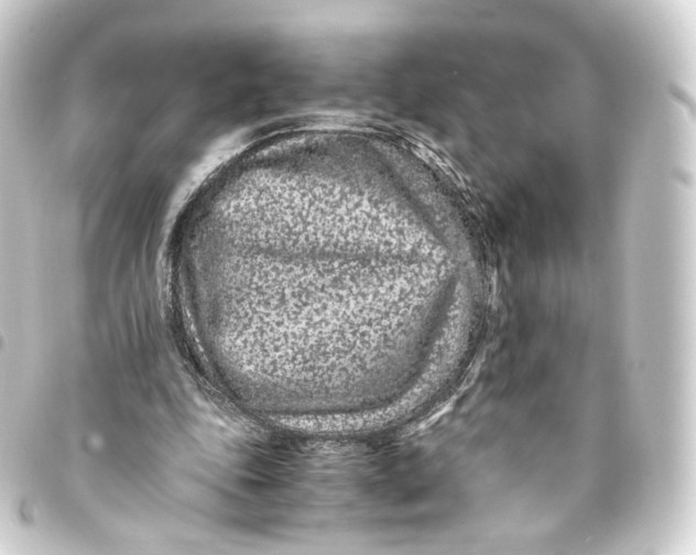 X0000093430343200711021039