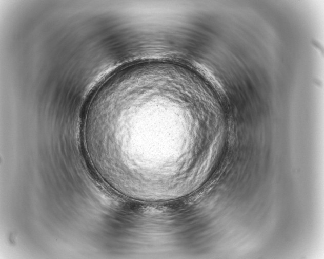 X0000093430346200711021039