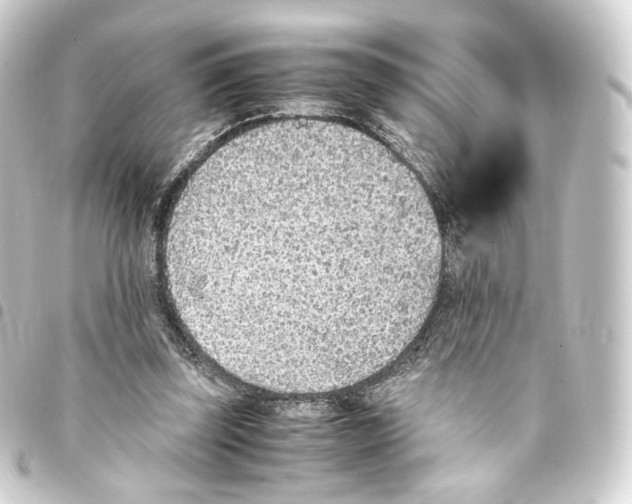 X0000093430347200711021039