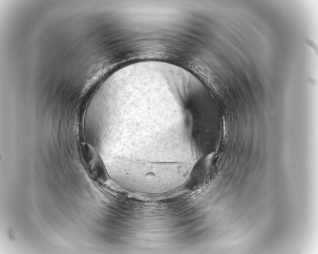 X0000093430348200711021039