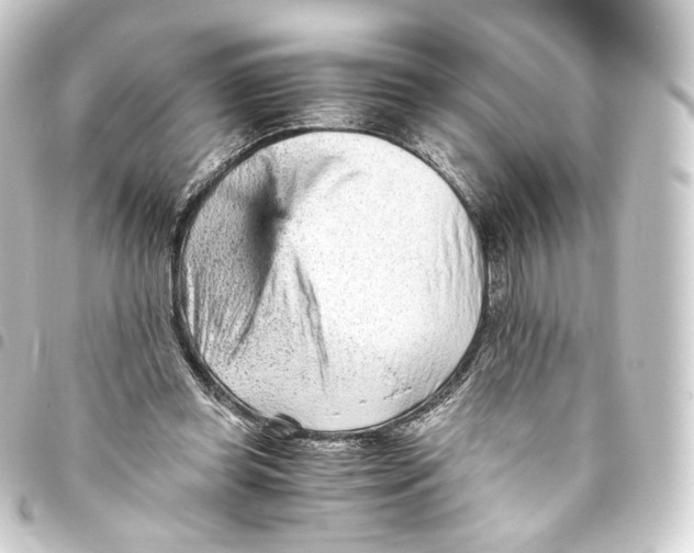 X0000093430349200711021039