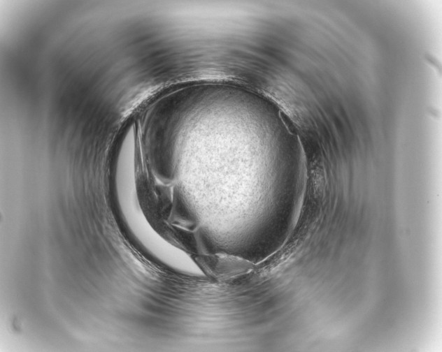 X0000093430350200711021039