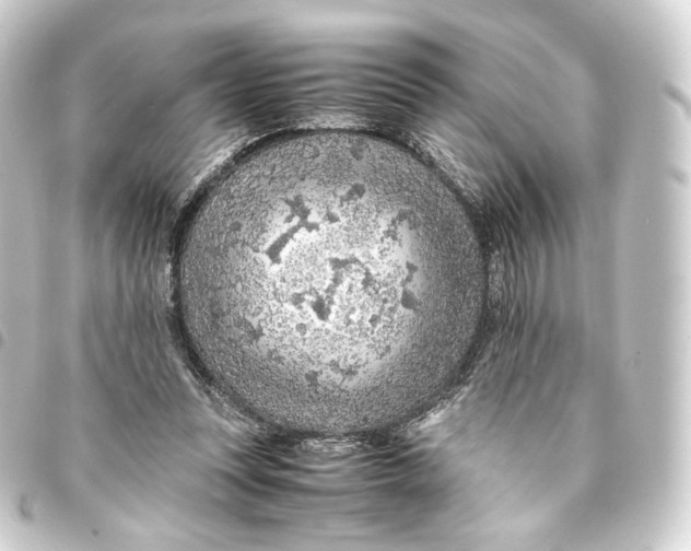 X0000093430351200711021039