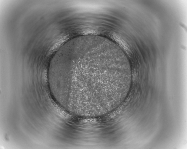 X0000093430353200711021039