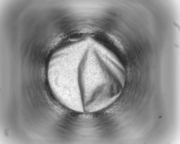 X0000093430354200711021039