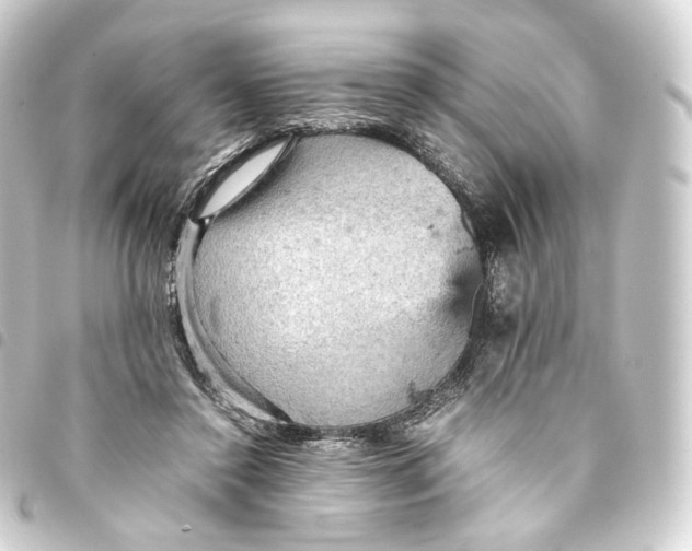 X0000093430356200711021039