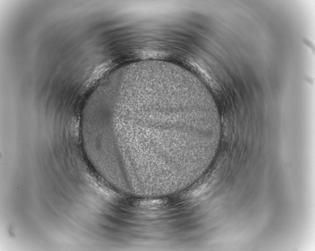 X0000093430357200711021039