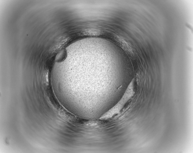 X0000093430358200711021039