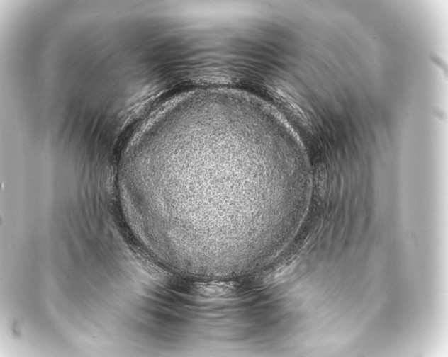 X0000093430359200711021039