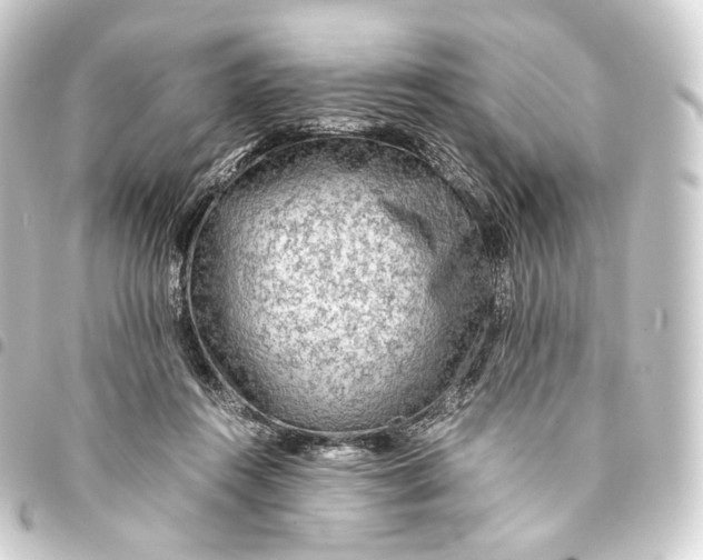 X0000093430360200711021039