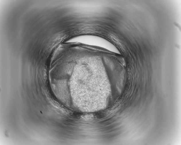 X0000093430362200711021039