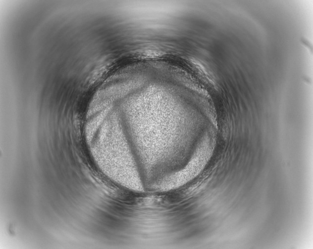 X0000093430366200711021039