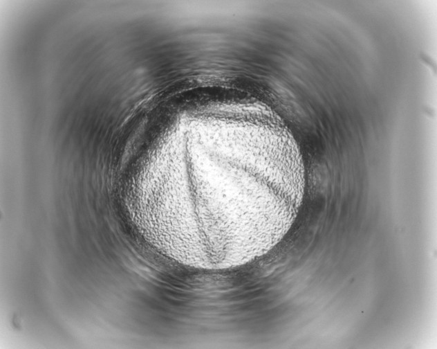 X0000093430367200711021039