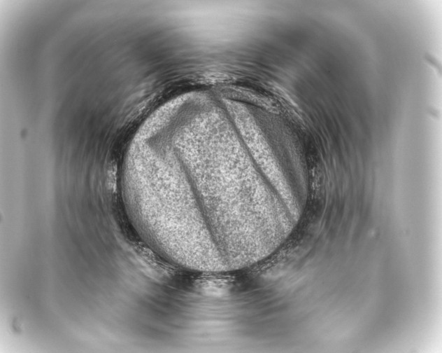 X0000093430368200711021039