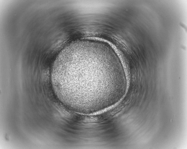 X0000093430369200711021039