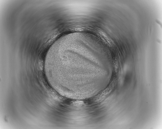 X0000093430374200711021039