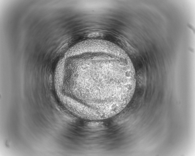 X0000093430375200711021039