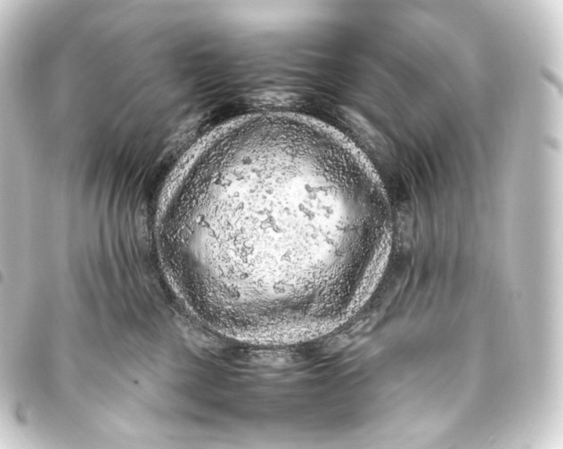 X0000093430377200711021039