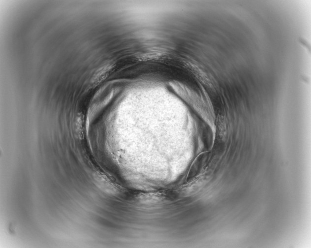 X0000093430378200711021039