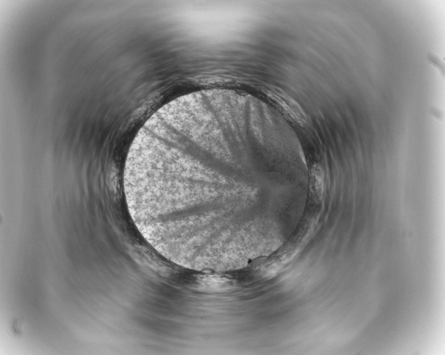 X0000093430380200711021039