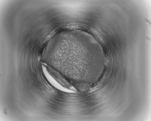 X0000093430382200711021039