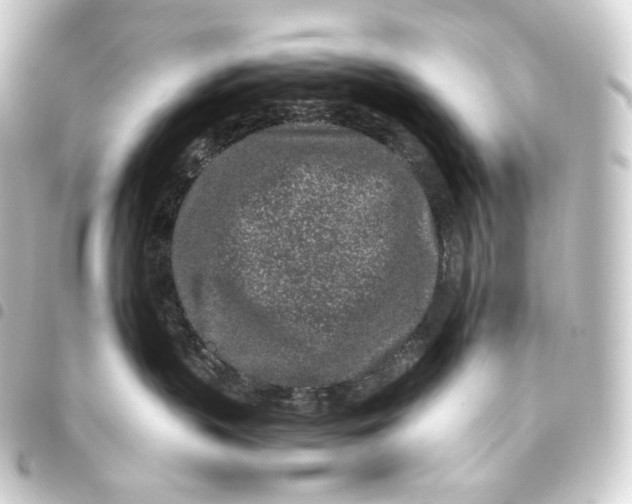 X0000093430383200711021039