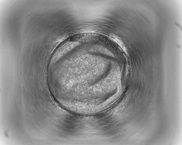 X0000093430385200711021039