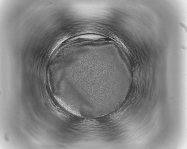 X0000093430386200711021039