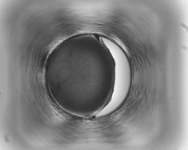 X0000093430387200711021039