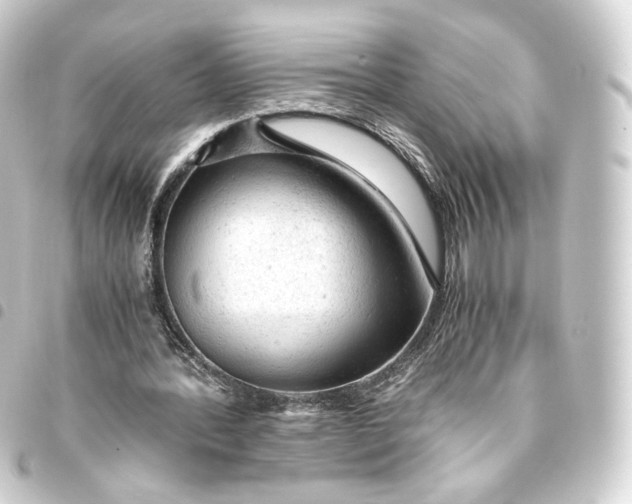 X0000093430388200711021039