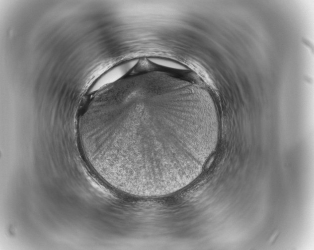 X0000093430389200711021039