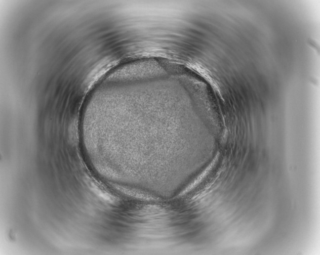 X0000093430390200711021039