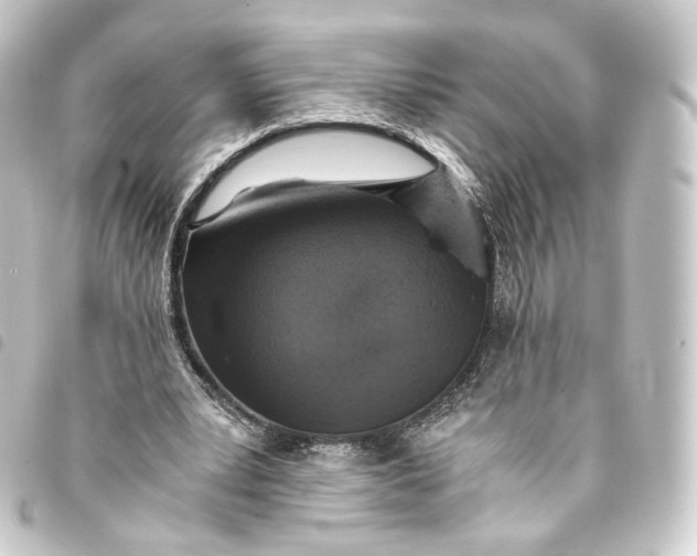 X0000093430391200711021038