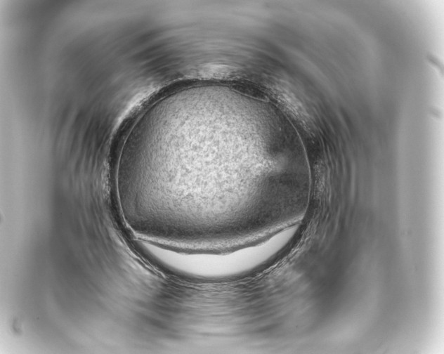 X0000093430392200711021038