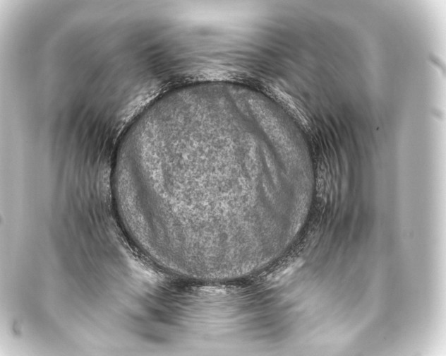 X0000093430394200711021038