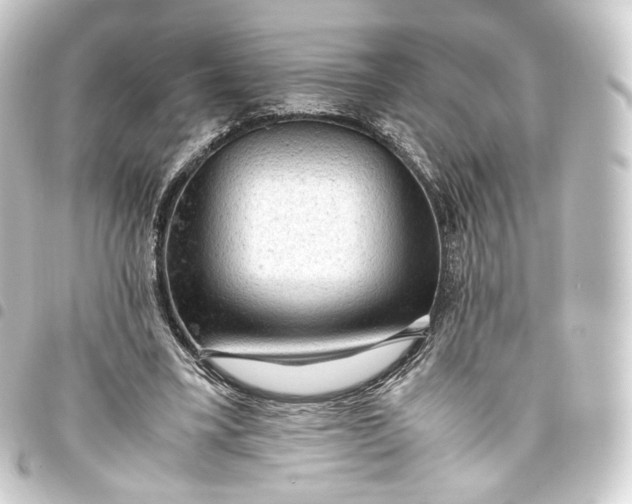 X0000093430395200711021038