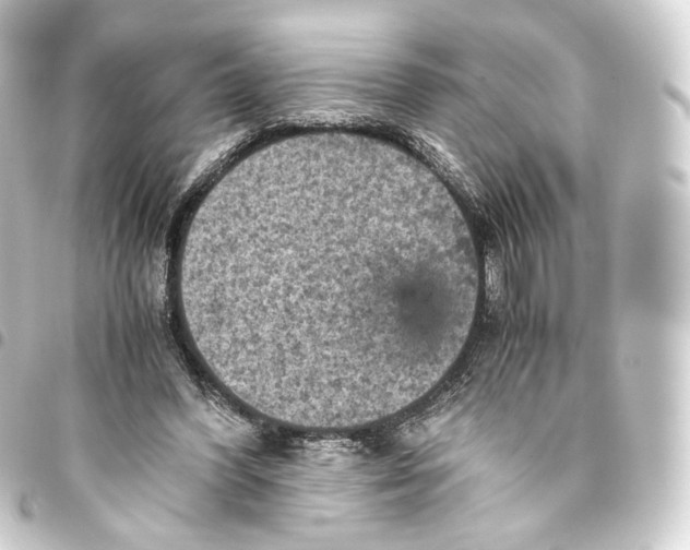 X0000093430396200711021038