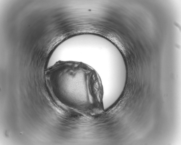 X0000093430397200711021038