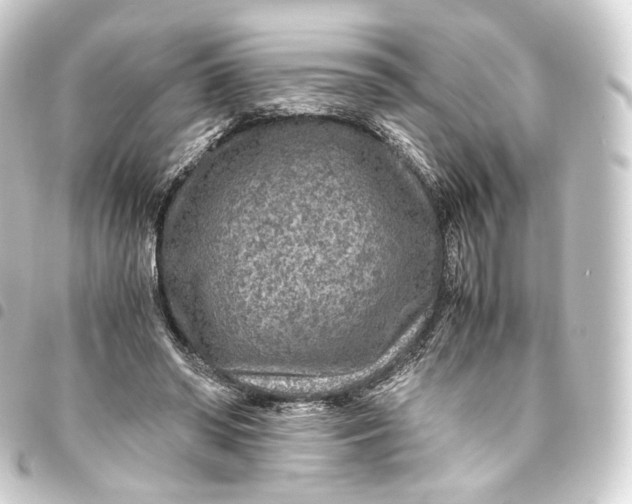 X0000093430398200711021038