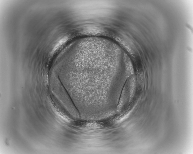 X0000093430399200711021038