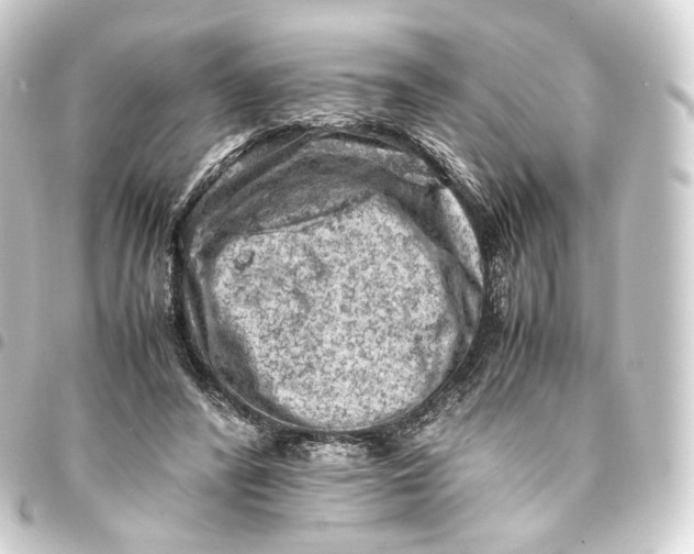 X0000093430400200711021038