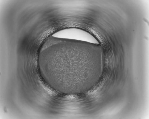 X0000093430402200711021038