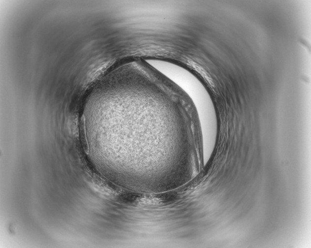 X0000093430403200711021038