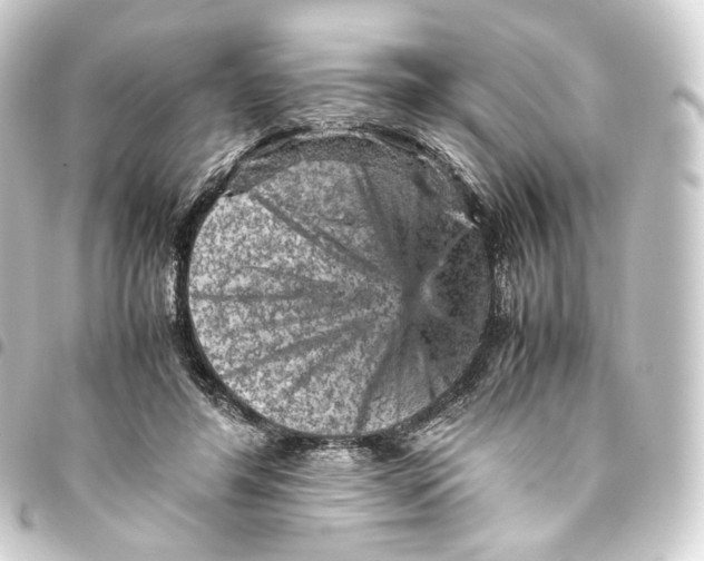 X0000093430404200711021038