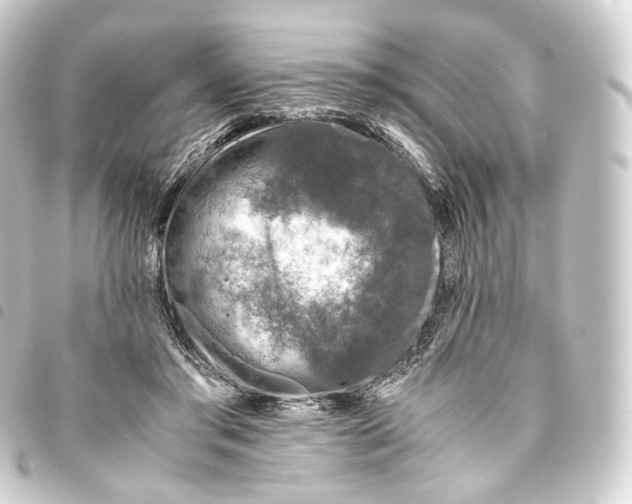 X0000093430405200711021038