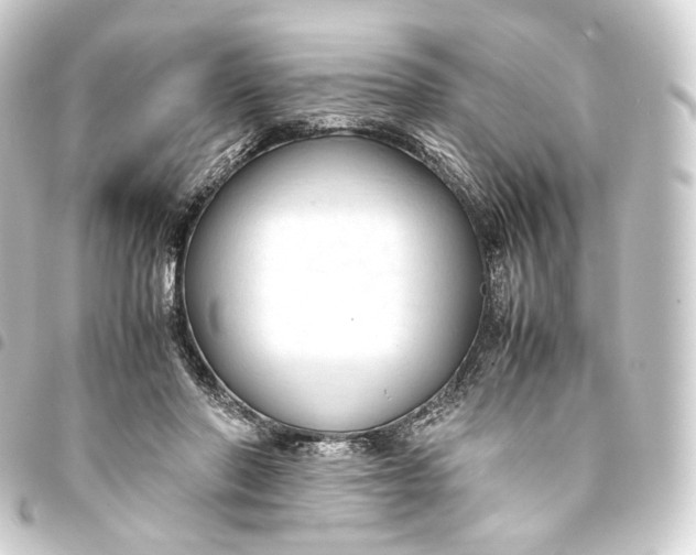 X0000093430406200711021038