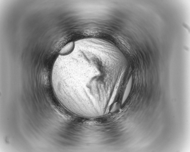 X0000093430408200711021038