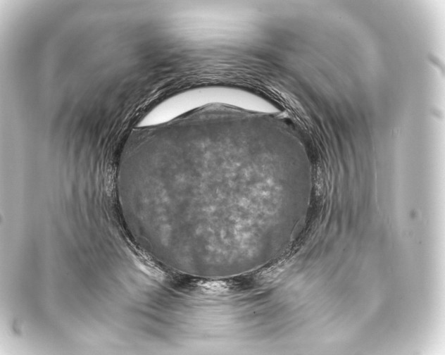 X0000093430409200711021038